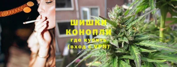 МДПВ Козельск