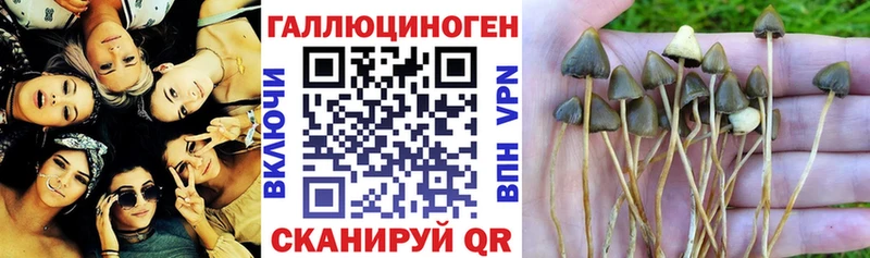 Купить закладки  Озёры  Галлюциногенные грибы мухоморы 